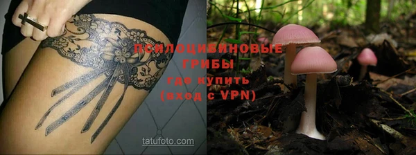 мяу мяу кристалл Алексин