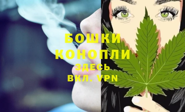 трава Алзамай