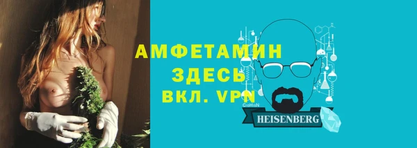гидра Алексеевка