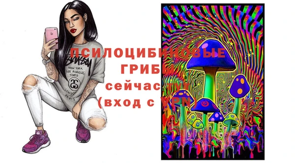 трава Алзамай