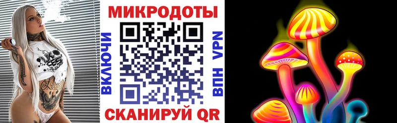 дарк нет состав  Новая Ладога  Псилоцибиновые грибы мухоморы 